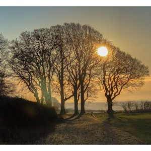 Frosty Start - an image by Helen Lord the Cotswolds Photographer