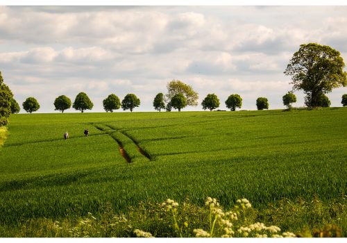 Chedworth Walkers - image by Helen Lord cotswoldsphotographer.com